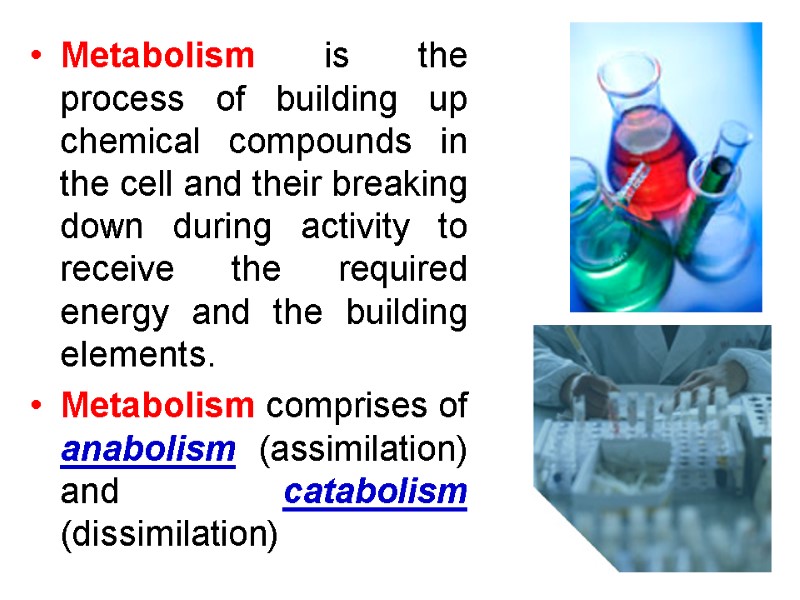 Metabolism is the process of building up chemical compounds in the cell and their